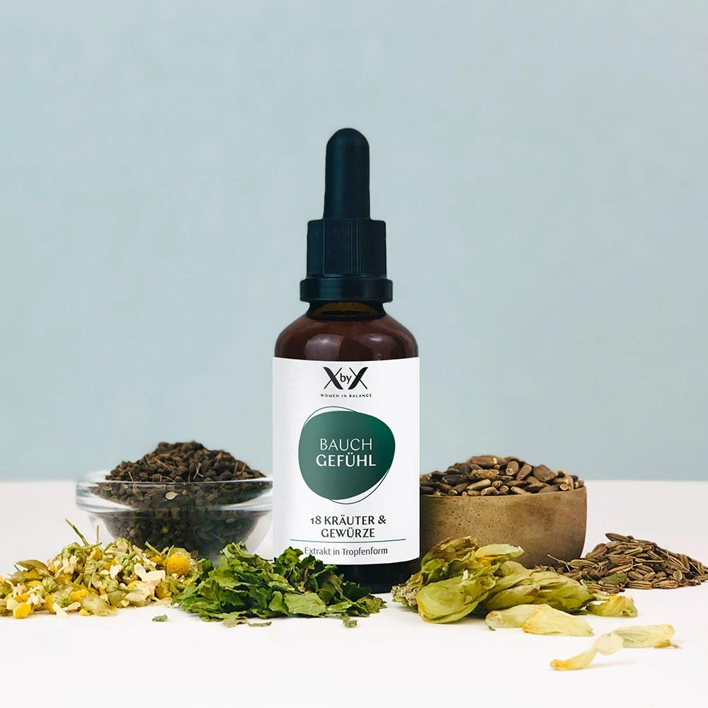 BAUCH GEFÜHL 4 BAUCH GEFÜHL – Bild 2