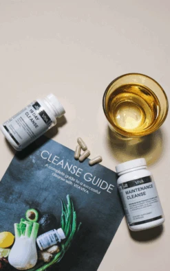 CLEANSE GUIDE E-BOOK