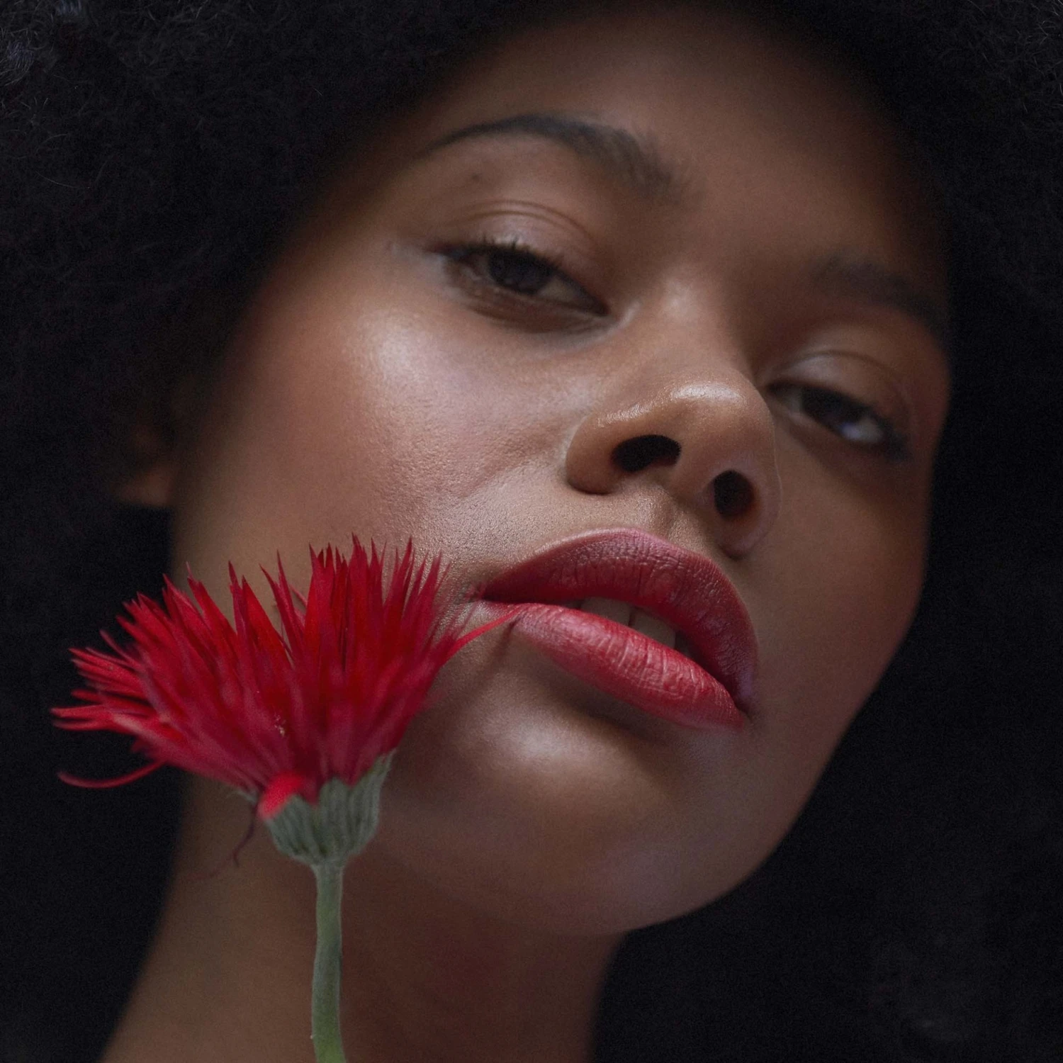 Le Mat 16 Coquelicot 6 Le Mat 16 Coquelicot – Bild 4