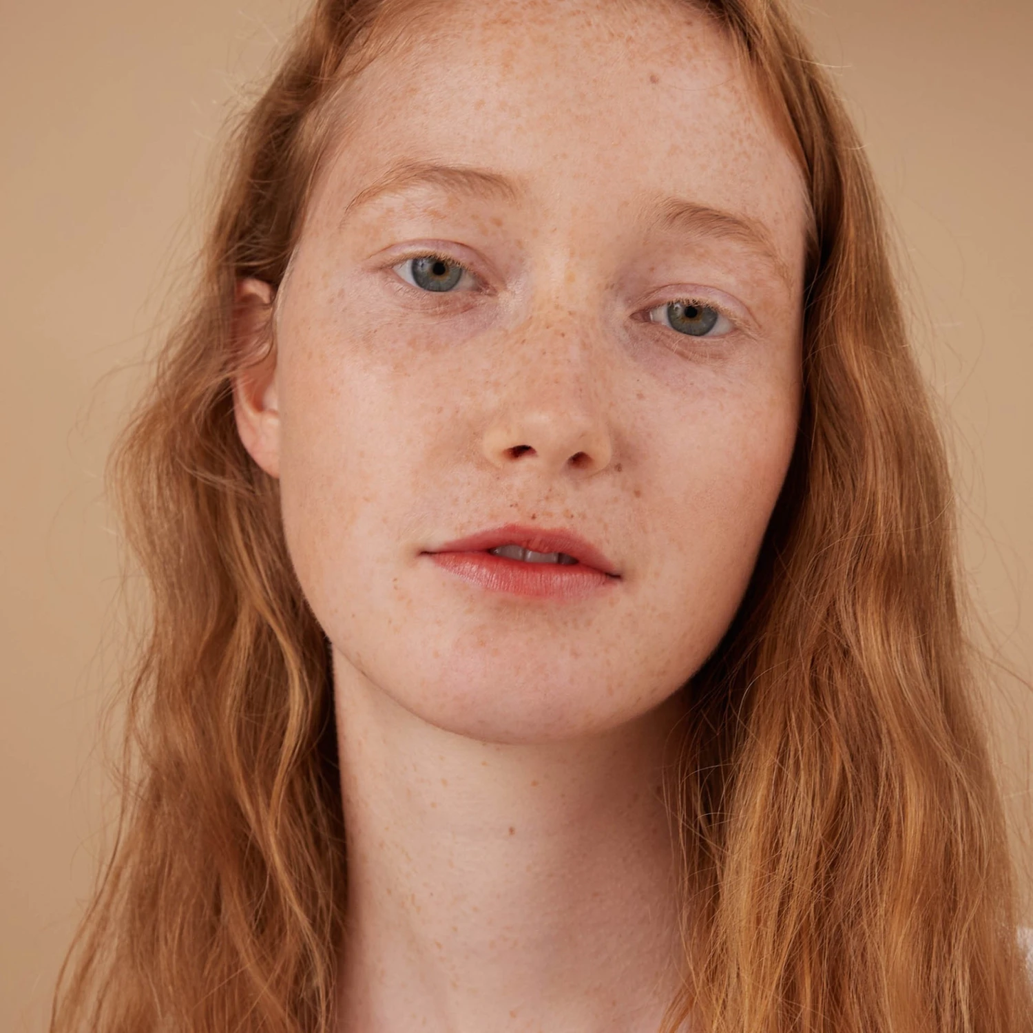 Le Sorbet 14 Brun De Mars 5 Le Sorbet 14 Brun De Mars – Bild 3